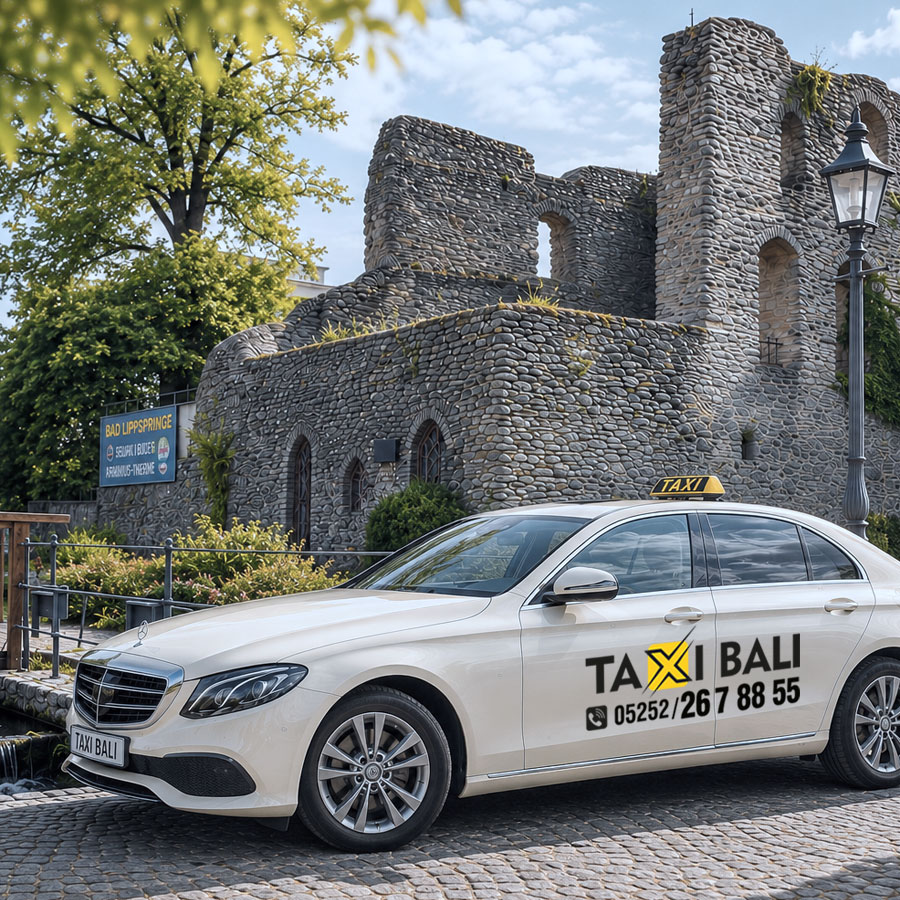     Taxi Bad Lippspringe – Taxi Bali vor der Burgruine